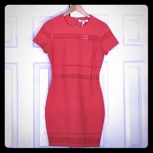 Salmon Pink Elizabeth and James Dress